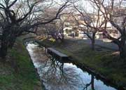 川越市新河岸