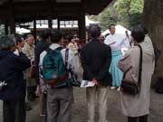 氷川神社を探訪中