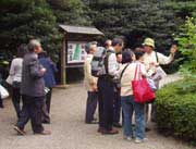 国分寺、都立殿ヶ谷戸庭園